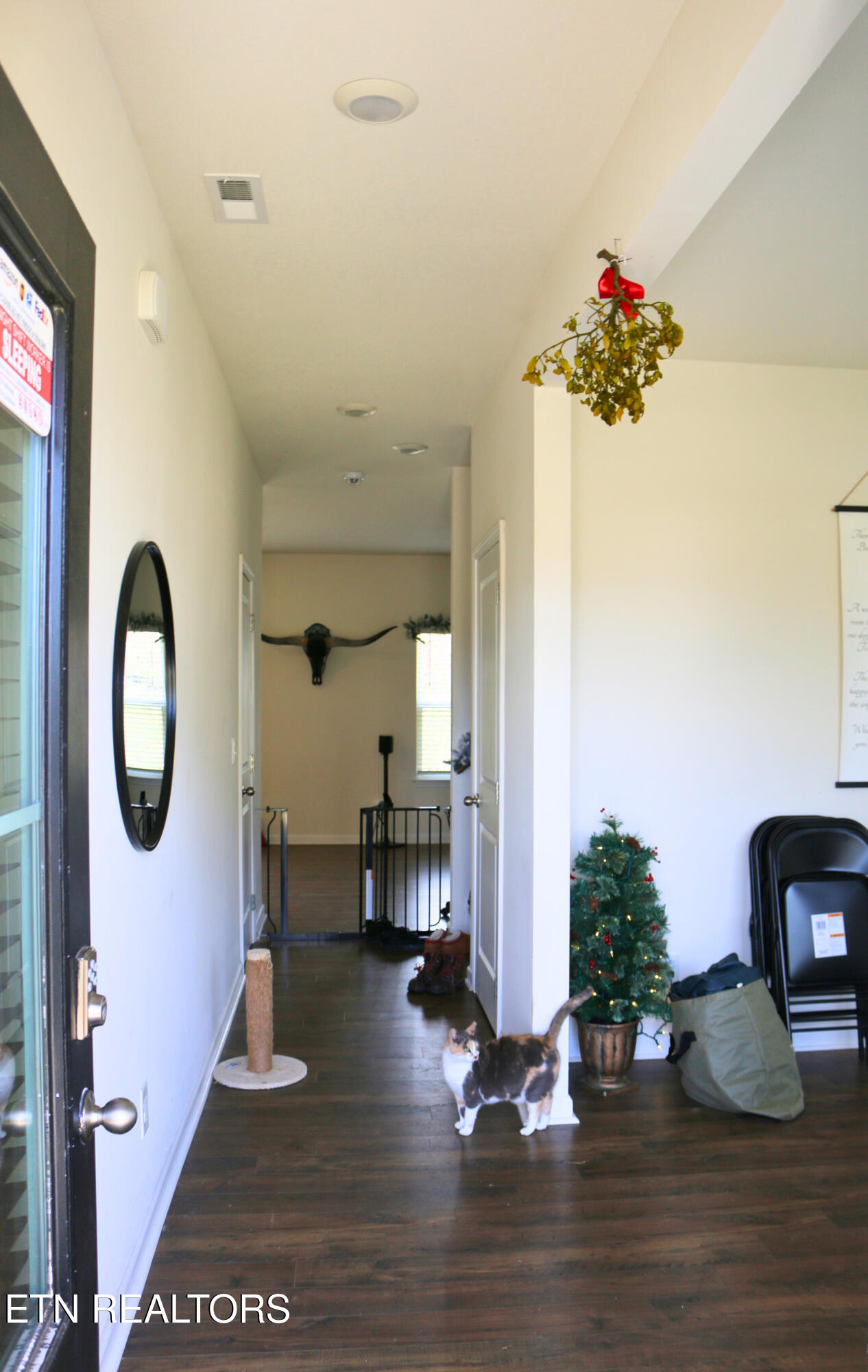 1642 Pebblestone Court Morristown, TN 37814 - Photo 3 of 25 Front door entrance - foyer