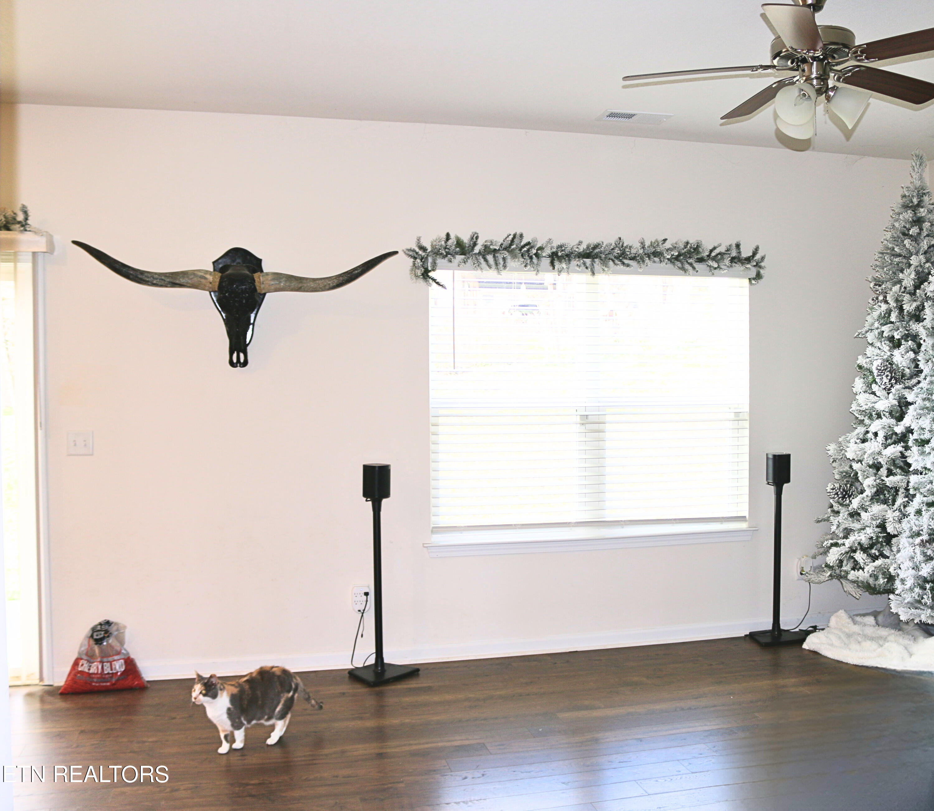 1642 Pebblestone Court Morristown, TN 37814 - Photo 6 of 25 living room view from hallway