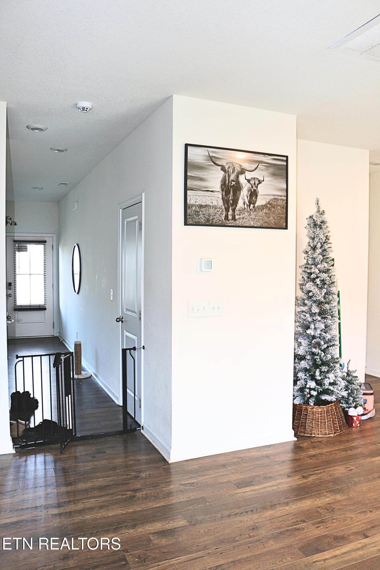 1642 Pebblestone Court Morristown, TN 37814 - Photo 7 of 25 Living room looking to front door