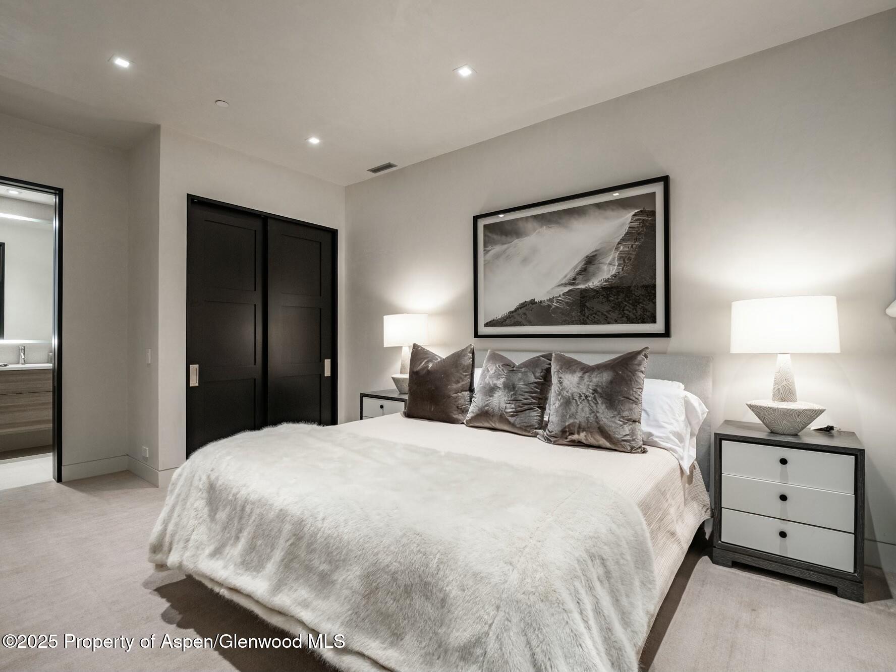 1154 East Cooper Avenue Aspen, CO 81611 - Photo 20 of 30 Guest Suite 2