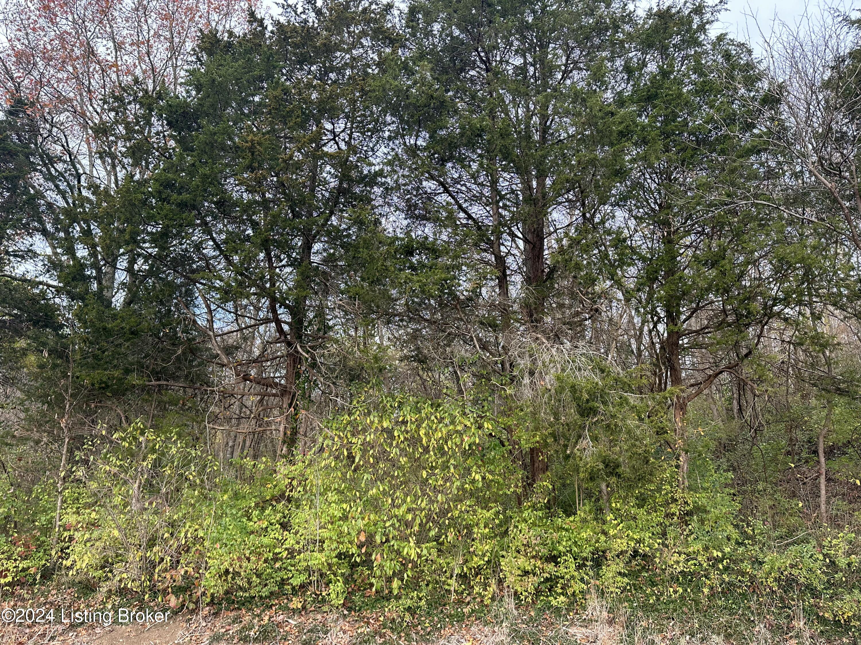 0 River Road Worthville, KY 41098 - Photo 11 of 23 River Rd