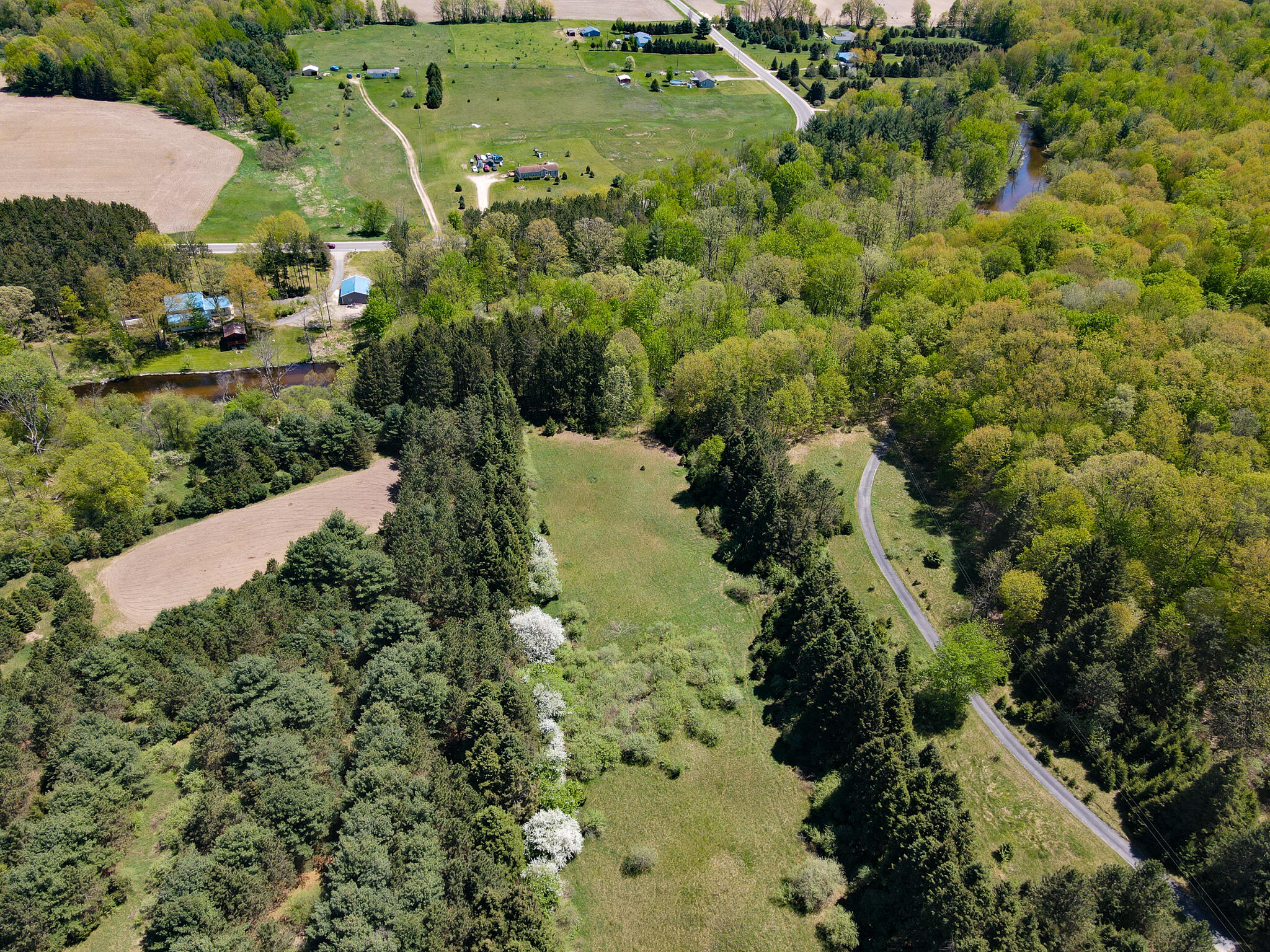 10-acres Miles Road Stanton, MI 48888 - Photo 31 of 33 DJI_0320