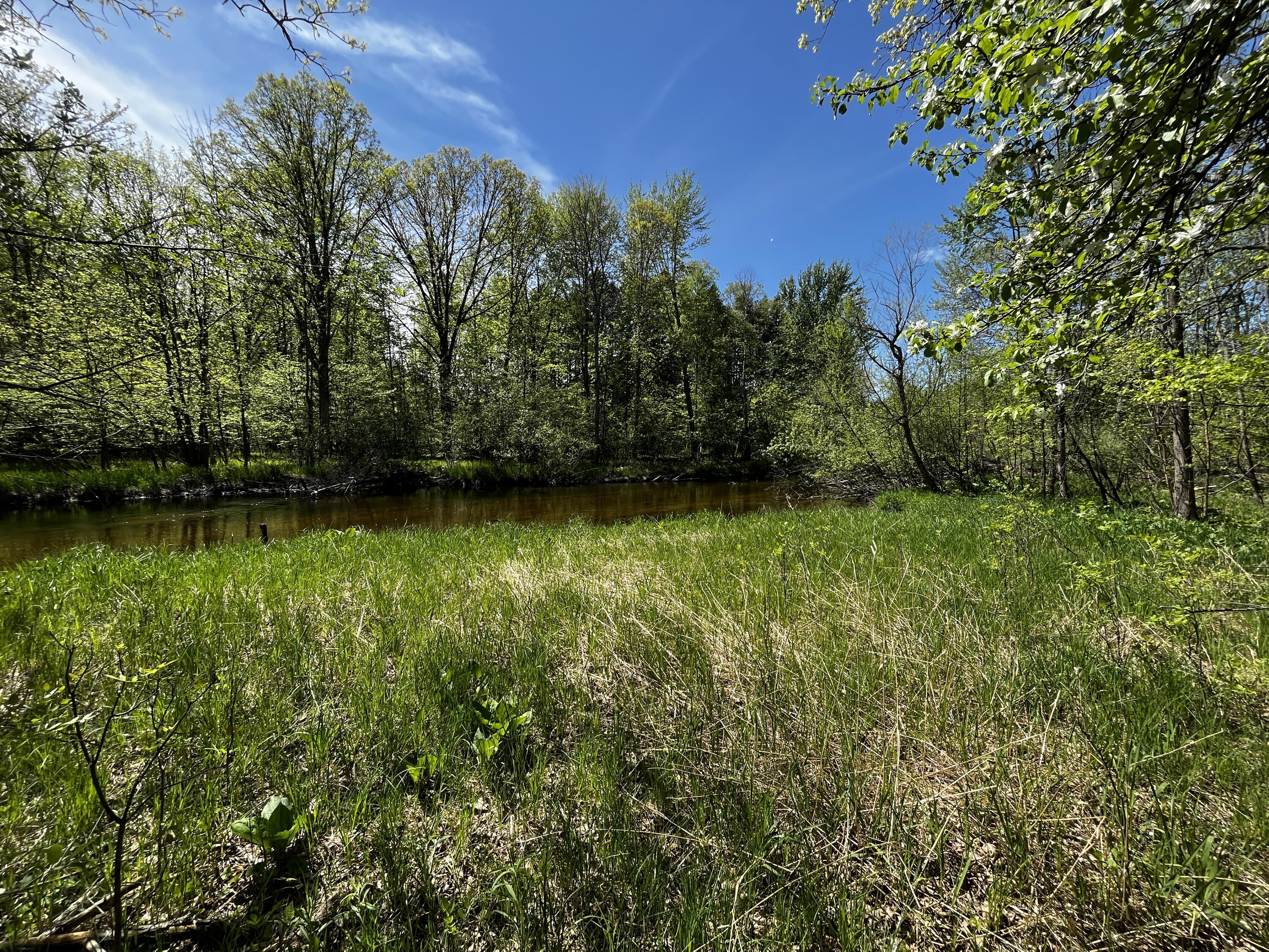 10-acres Miles Road Stanton, MI 48888 - Photo 5 of 33 IMG_2915