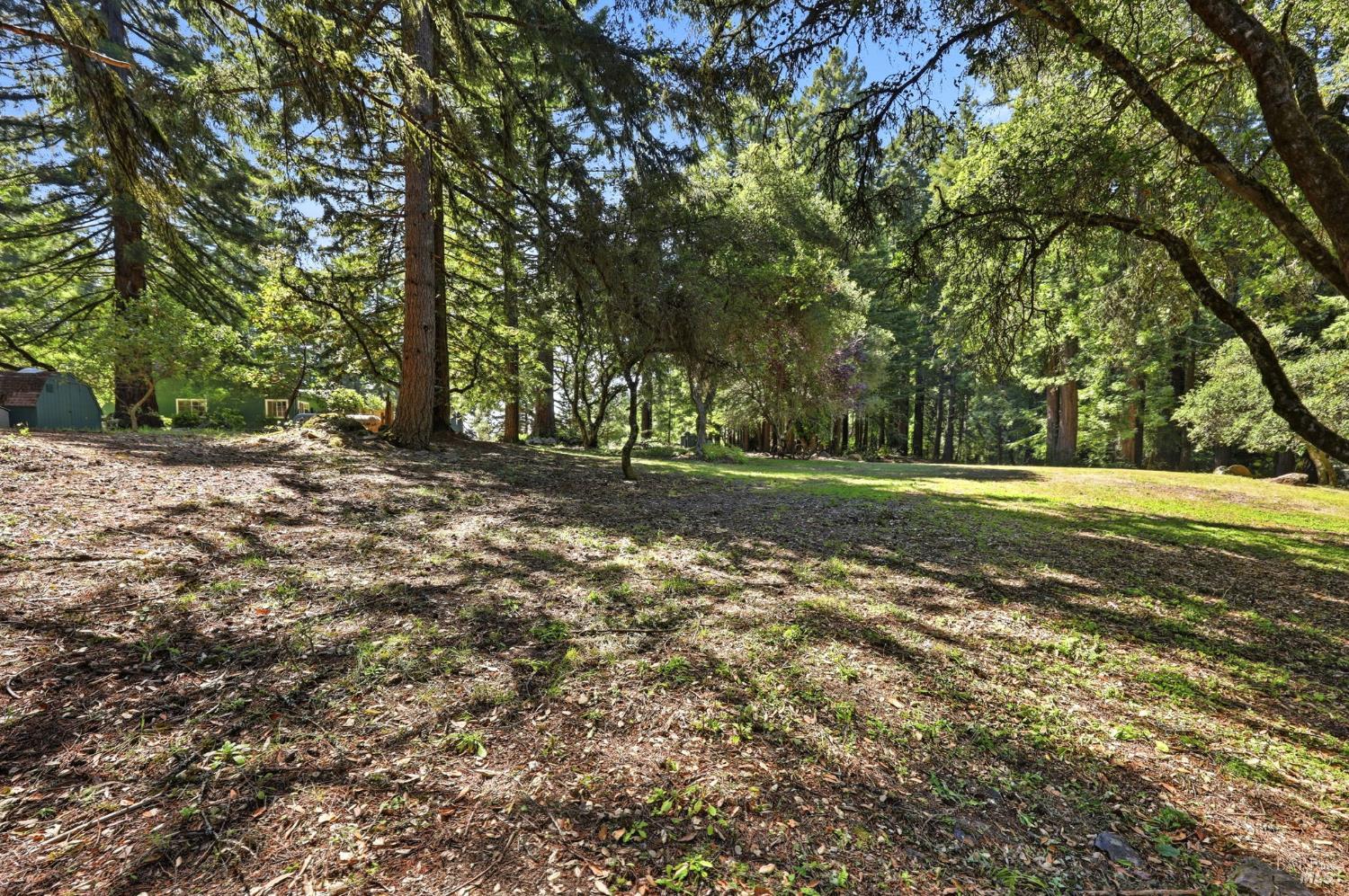 17375 Willow Creek Road Occidental, CA 95465 - Photo 7 of 94