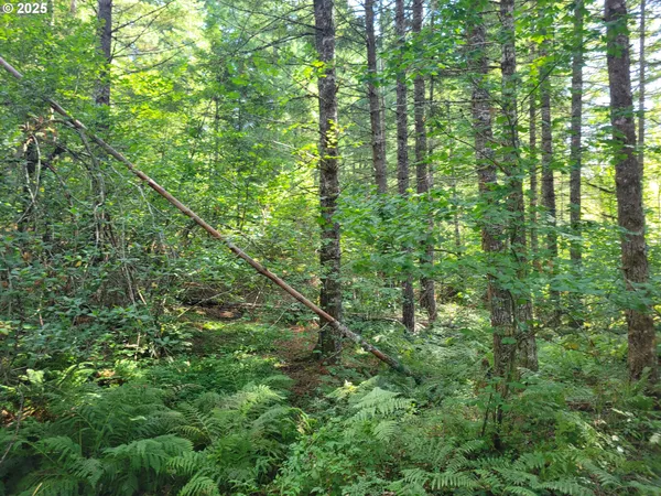 $199,950 | Heslen Road, Carson, WA 98610