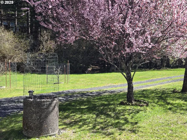 a view of a field with grass