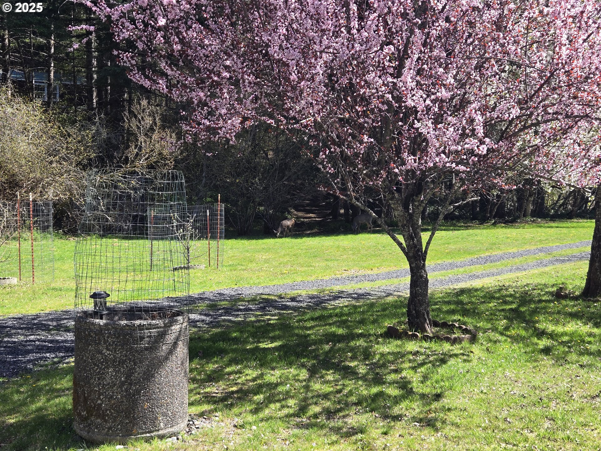 Heslen Road Carson, WA 98610 - Photo 2 of 5