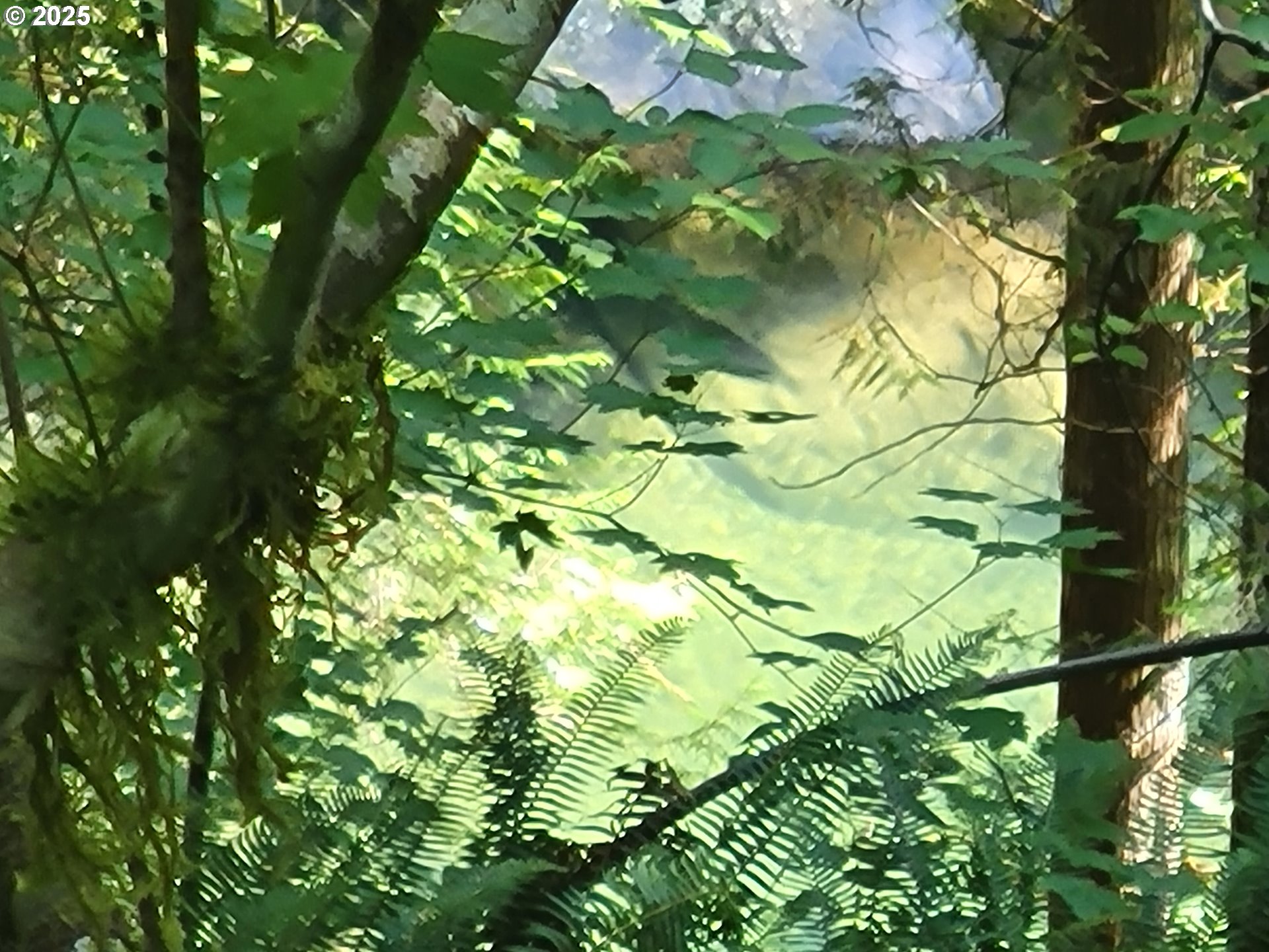 Heslen Road Carson, WA 98610 - Photo 3 of 5