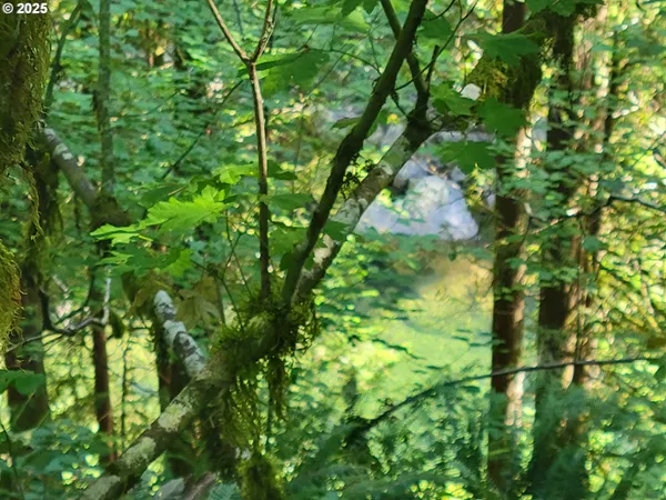 $199,950 | Heslen Road, Carson, WA 98610