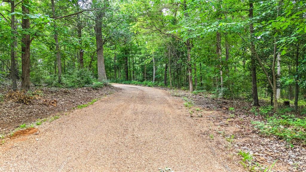 1749 Highway 84 Palestine, TX 75801 - Photo 7 of 40