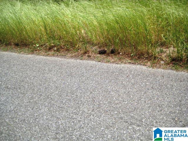 0 Sulphur Springs Road, Unit 10 ACRES Lincoln, AL 35096 - Photo 26 of 32