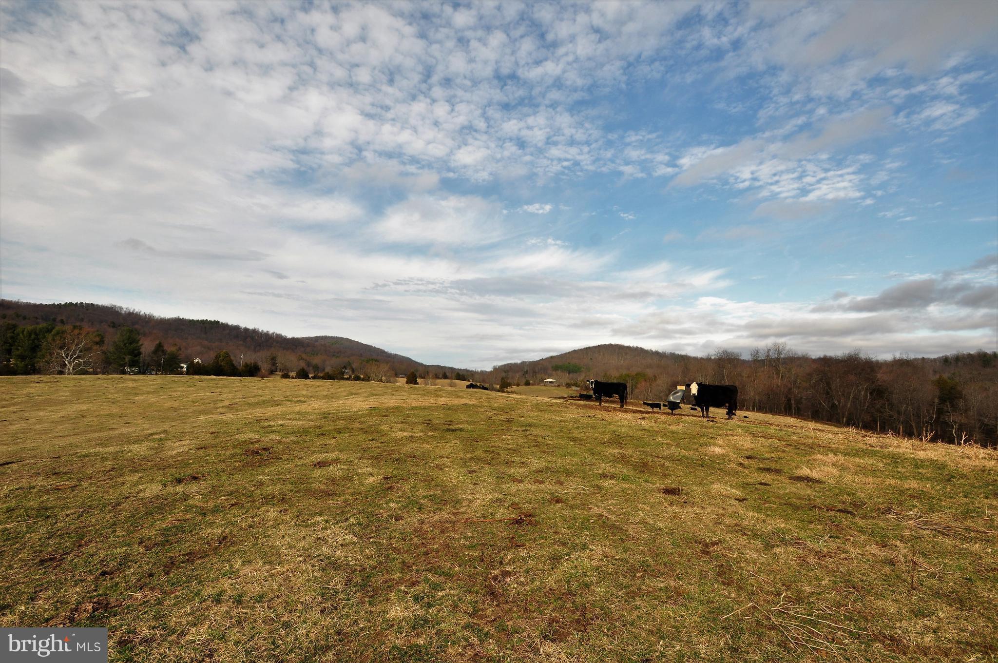 Scrabble Castleton, VA 22716 - Photo 2 of 17 Views of Turkey Ridge and Castle Mountain