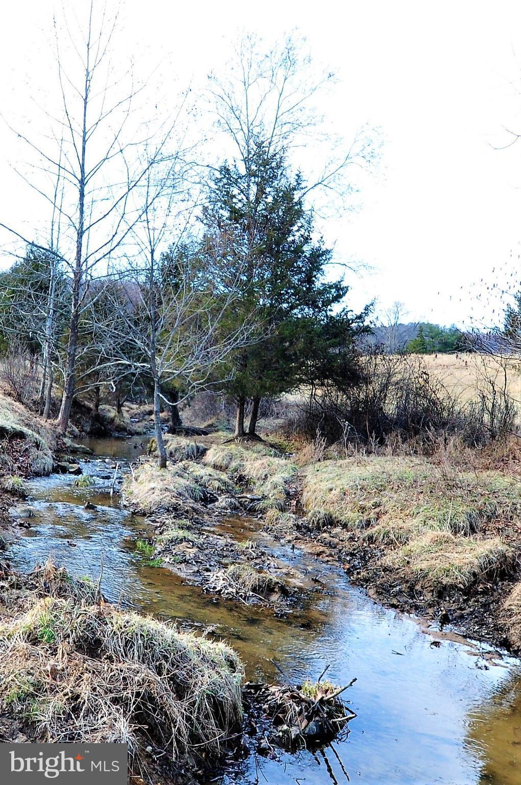 Scrabble Castleton, VA 22716 - Photo 11 of 17 Second Stream