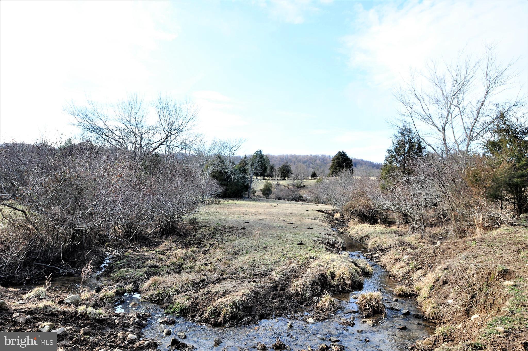 Scrabble Castleton, VA 22716 - Photo 6 of 17 Potential Pond Site