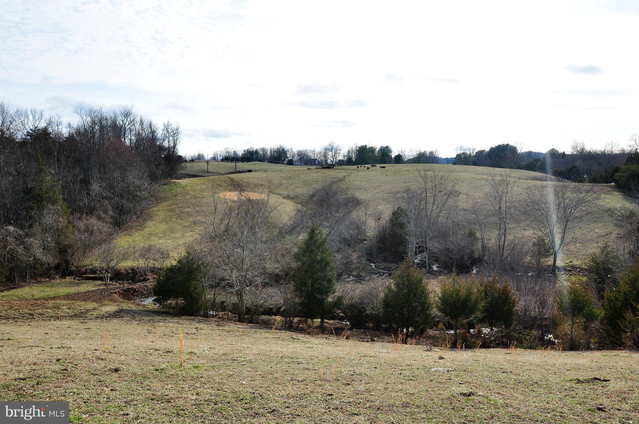 Scrabble Castleton, VA 22716 - Photo 7 of 17 Looking Down at Pond Site