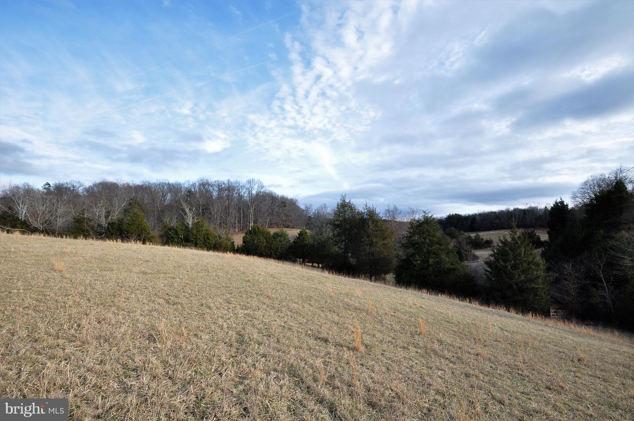 Scrabble Castleton, VA 22716 - Photo 10 of 17 View to the East