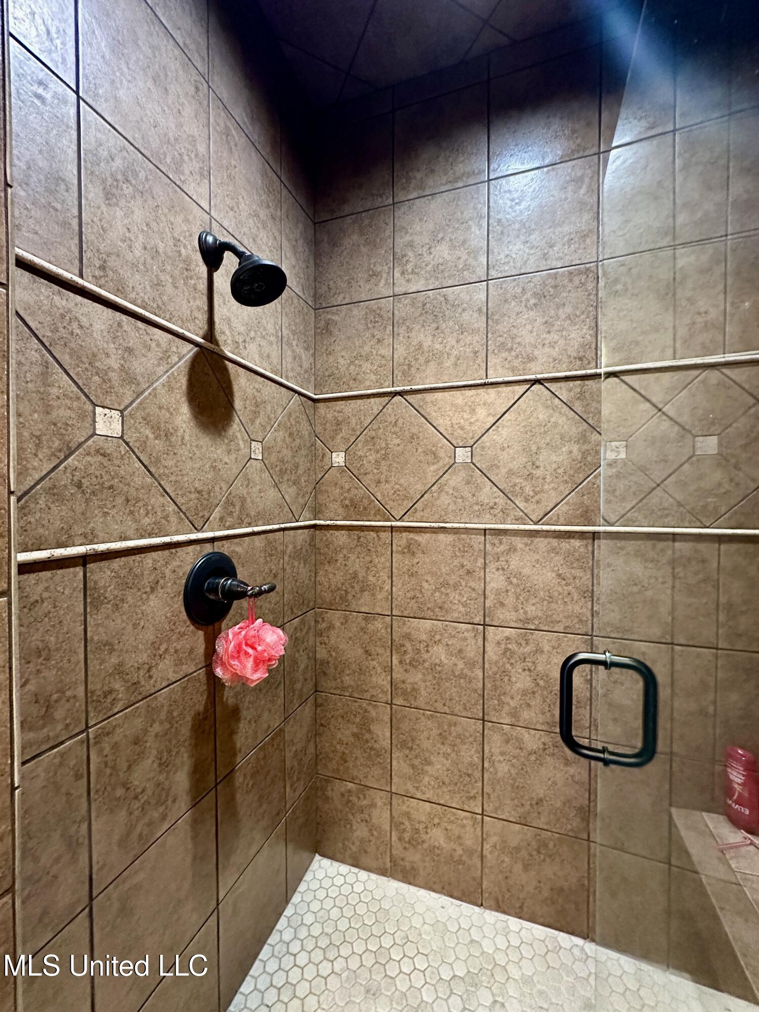 112 Pinehaven Place Clinton, MS 39056 - Photo 26 of 39 PPPRIMARY SHOWER