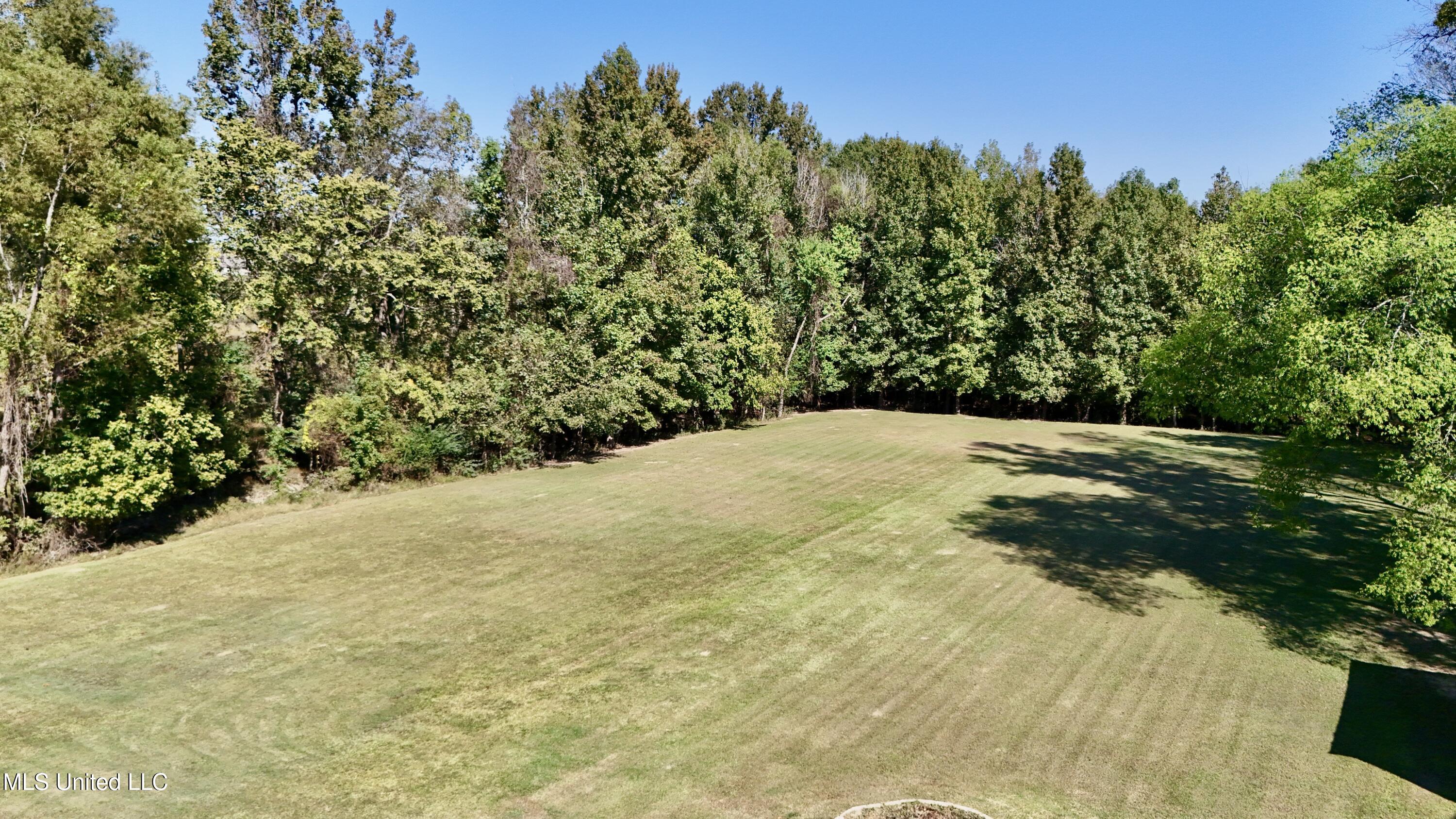 112 Pinehaven Place Clinton, MS 39056 - Photo 34 of 39 PP YARD