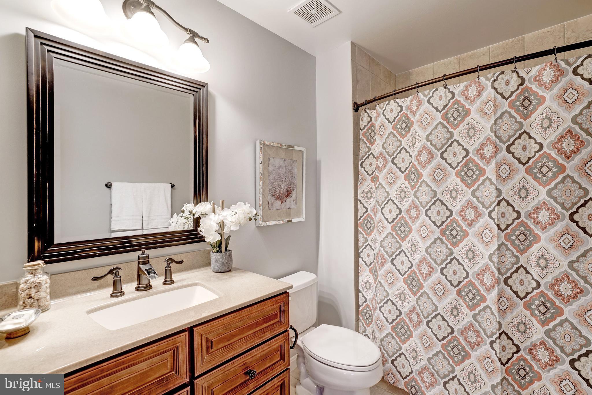 11284 Stones Throw Drive Reston, VA 20194 - Photo 19 of 30 Bath