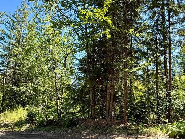 $120,000 | Tbd Tbd Perelandra Circle, Unit LOT 36 37, Danville, WA 99121