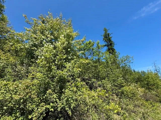 $120,000 | Tbd Tbd Perelandra Circle, Unit LOT 36 37, Danville, WA 99121