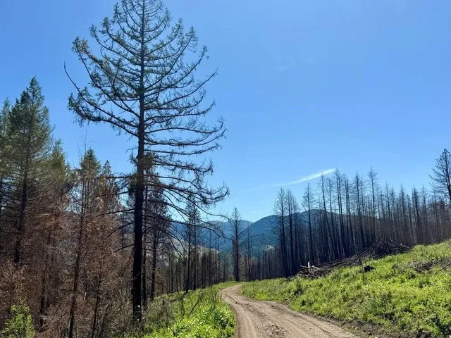 $120,000 | Tbd Tbd Perelandra Circle, Unit LOT 36 37, Danville, WA 99121