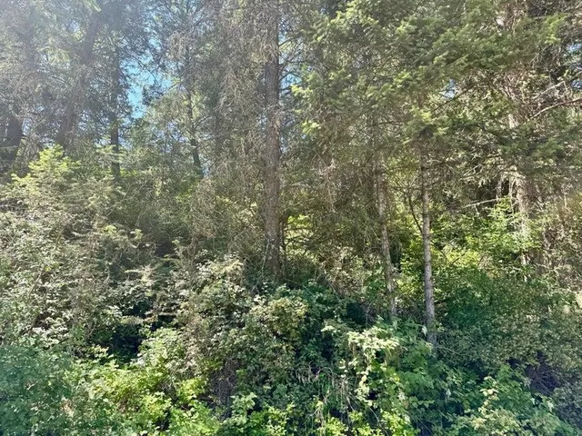 $120,000 | Tbd Tbd Perelandra Circle, Unit LOT 36 37, Danville, WA 99121