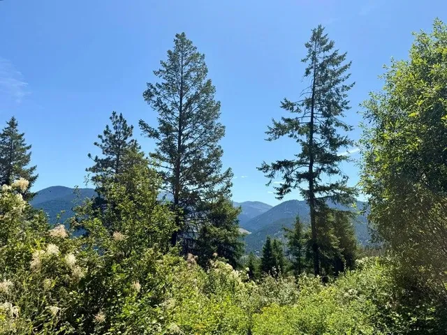 $120,000 | Tbd Tbd Perelandra Circle, Unit LOT 36 37, Danville, WA 99121