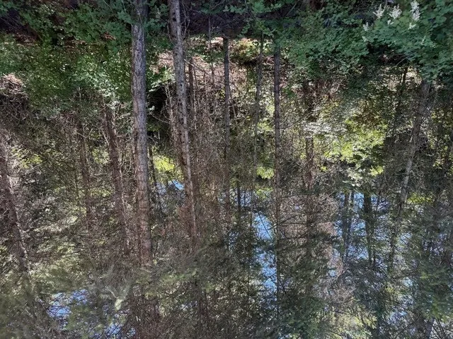 $120,000 | Tbd Tbd Perelandra Circle, Unit LOT 36 37, Danville, WA 99121