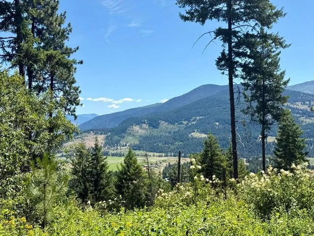 $120,000 | Tbd Tbd Perelandra Circle, Unit LOT 36 37, Danville, WA 99121