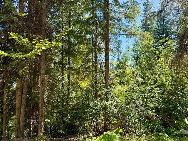 $120,000 | Tbd Tbd Perelandra Circle, Unit LOT 36 37, Danville, WA 99121