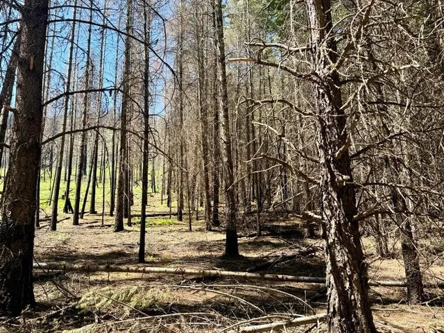 $120,000 | Tbd Tbd Perelandra Circle, Unit LOT 36 37, Danville, WA 99121