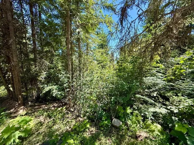 $120,000 | Tbd Tbd Perelandra Circle, Unit LOT 36 37, Danville, WA 99121