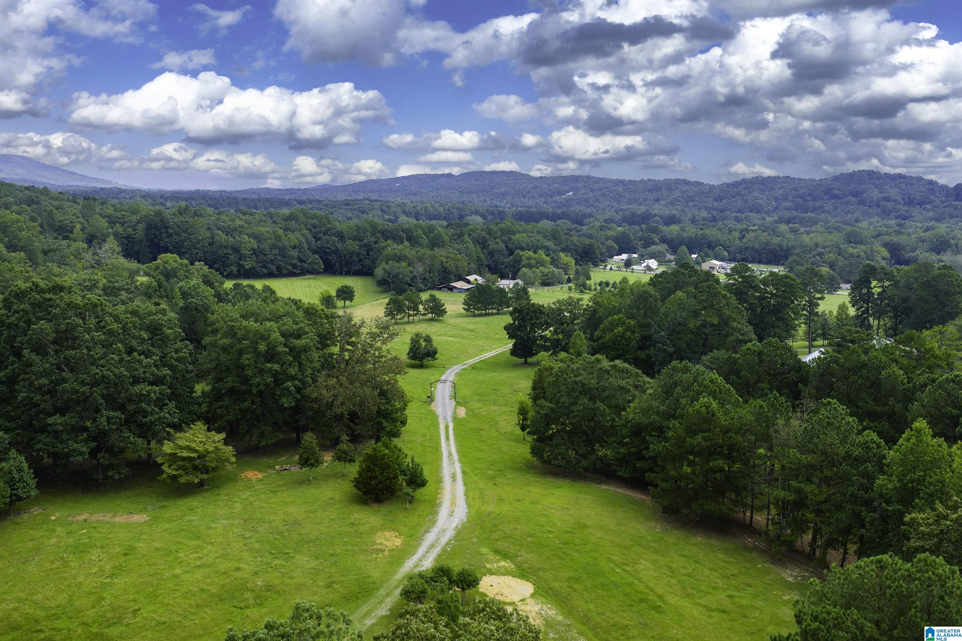 1187 Crawfords Cove Road Springville, AL 35146 - Photo 1 of 64