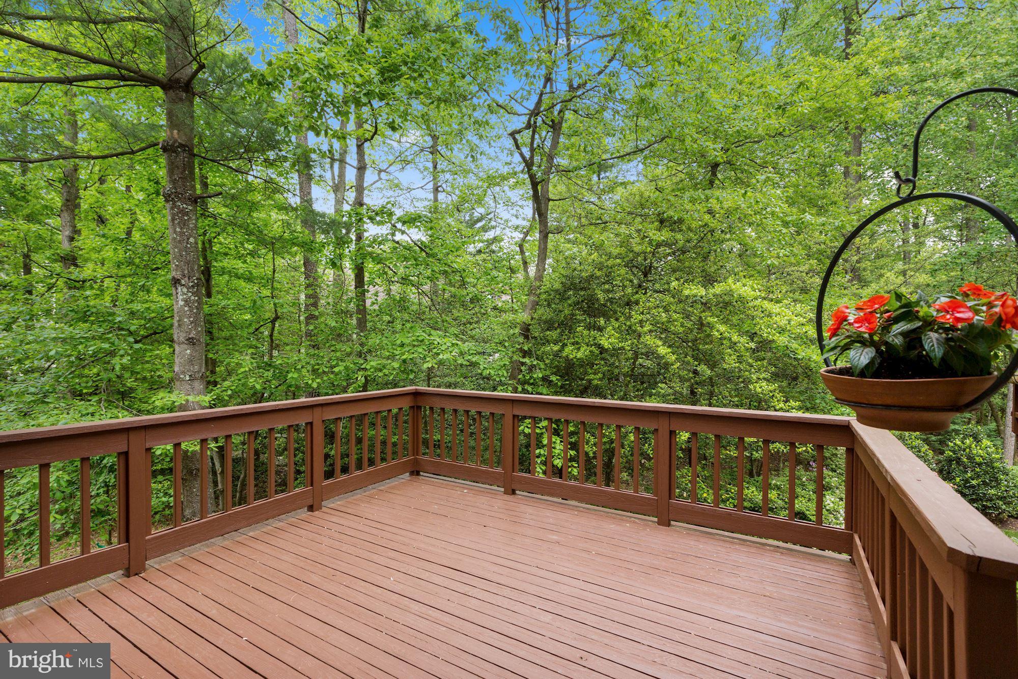 11412 Hollow Timber Way Reston, VA 20194 - Photo 34 of 59 Upper-Level deck Backing to Trees