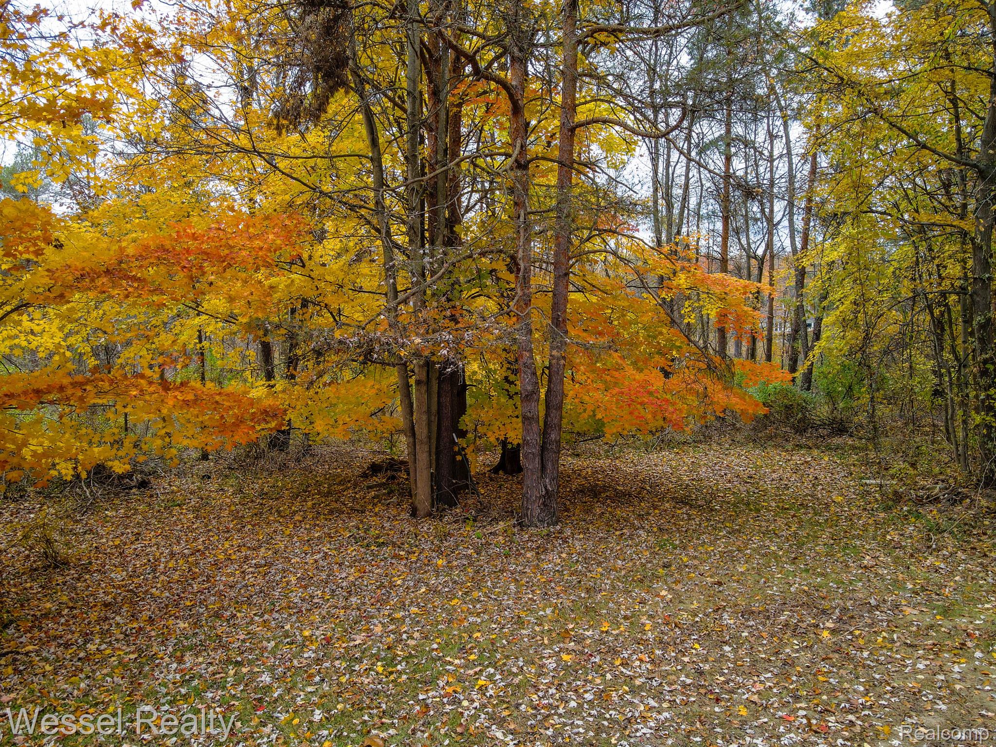 855 Townsend Road Leonard, MI 48367 - Photo 35 of 39 Gallery Image 35