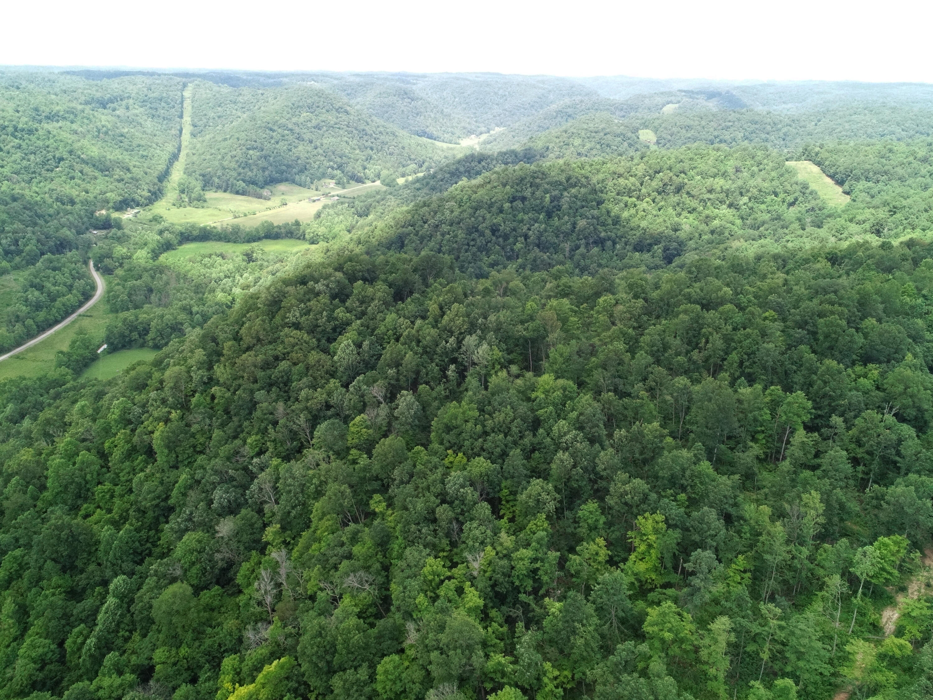 5080 Tipton Ridge Road Ravenna, KY 40472 - Photo 2 of 20 Top side!