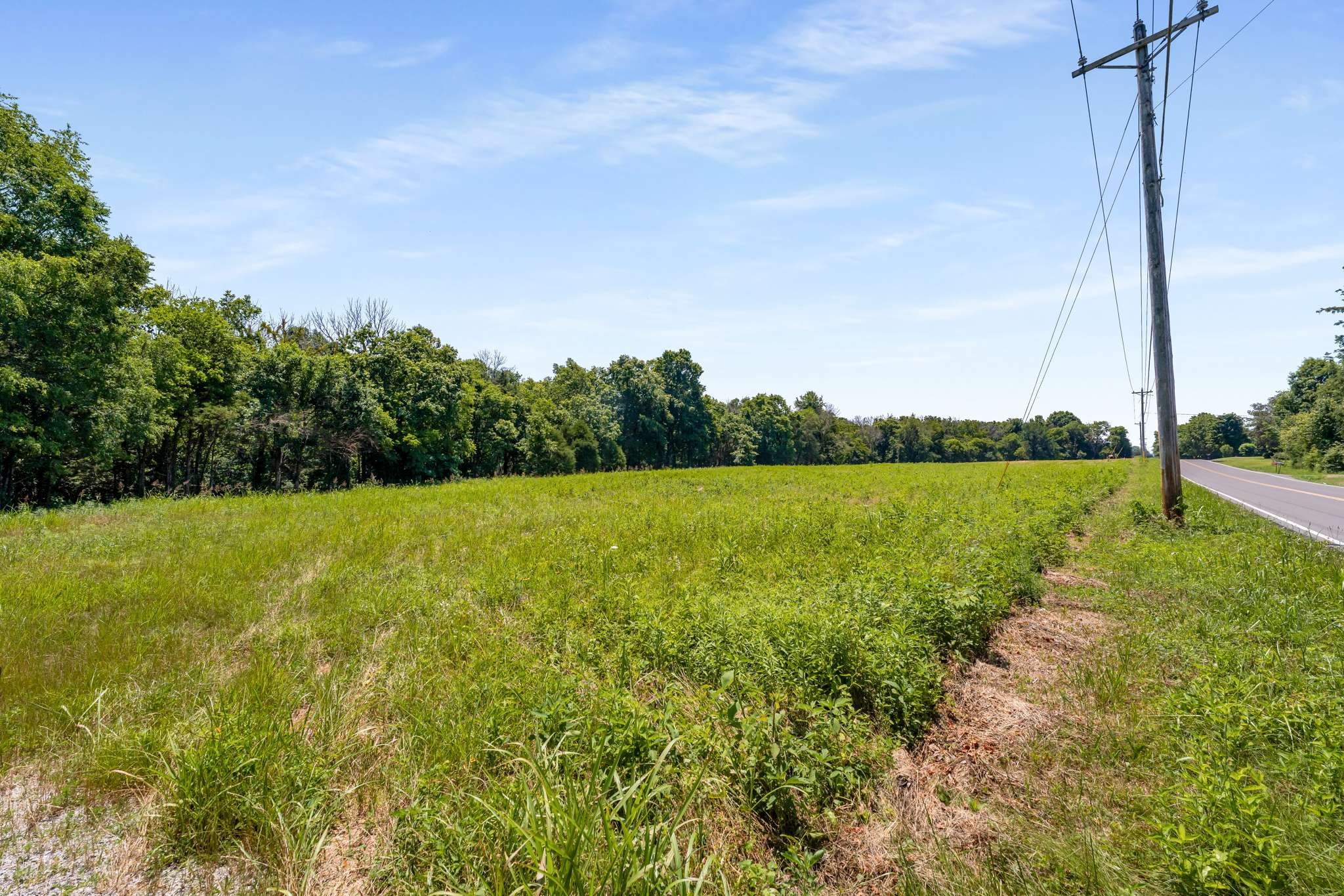 0 Rucker Road Christiana, TN 37037 - Photo 6 of 15 Gallery Image 6