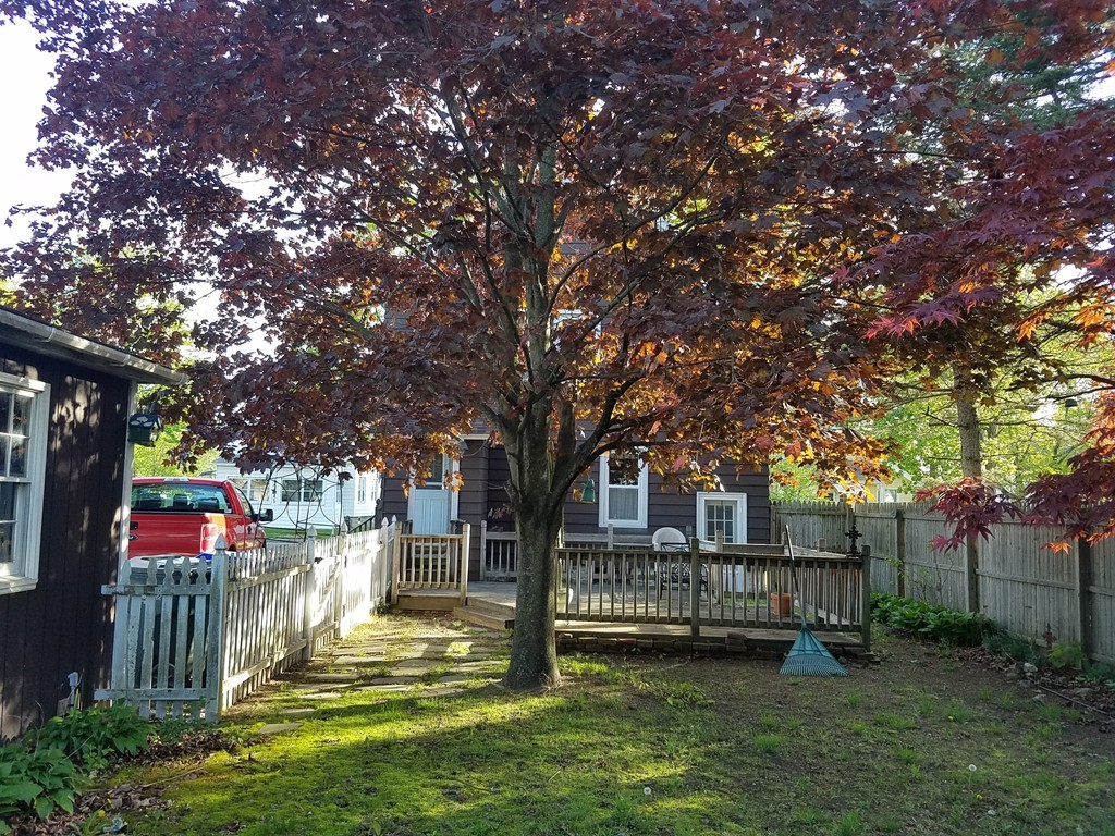 183 Arthur Street Springfield, MA 01104 - Photo 5 of 5