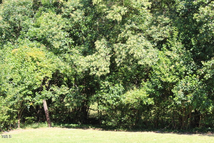 5700 Barbee Road Durham, NC 27713 - Photo 13 of 14 Back wooded area