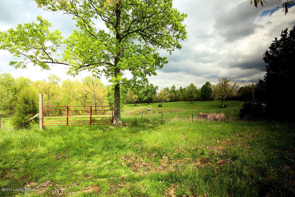6421 Grancer Road Morgantown, KY 42261 - Photo 18 of 28 106 1 Lacefield Auction