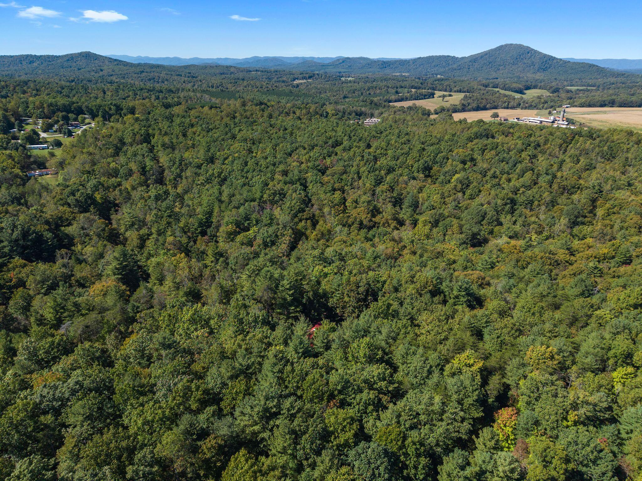 2750 Waidsboro Road Ferrum, VA 24088 - Photo 37 of 43 37-2750 Waidsboro Rd-MFW Media