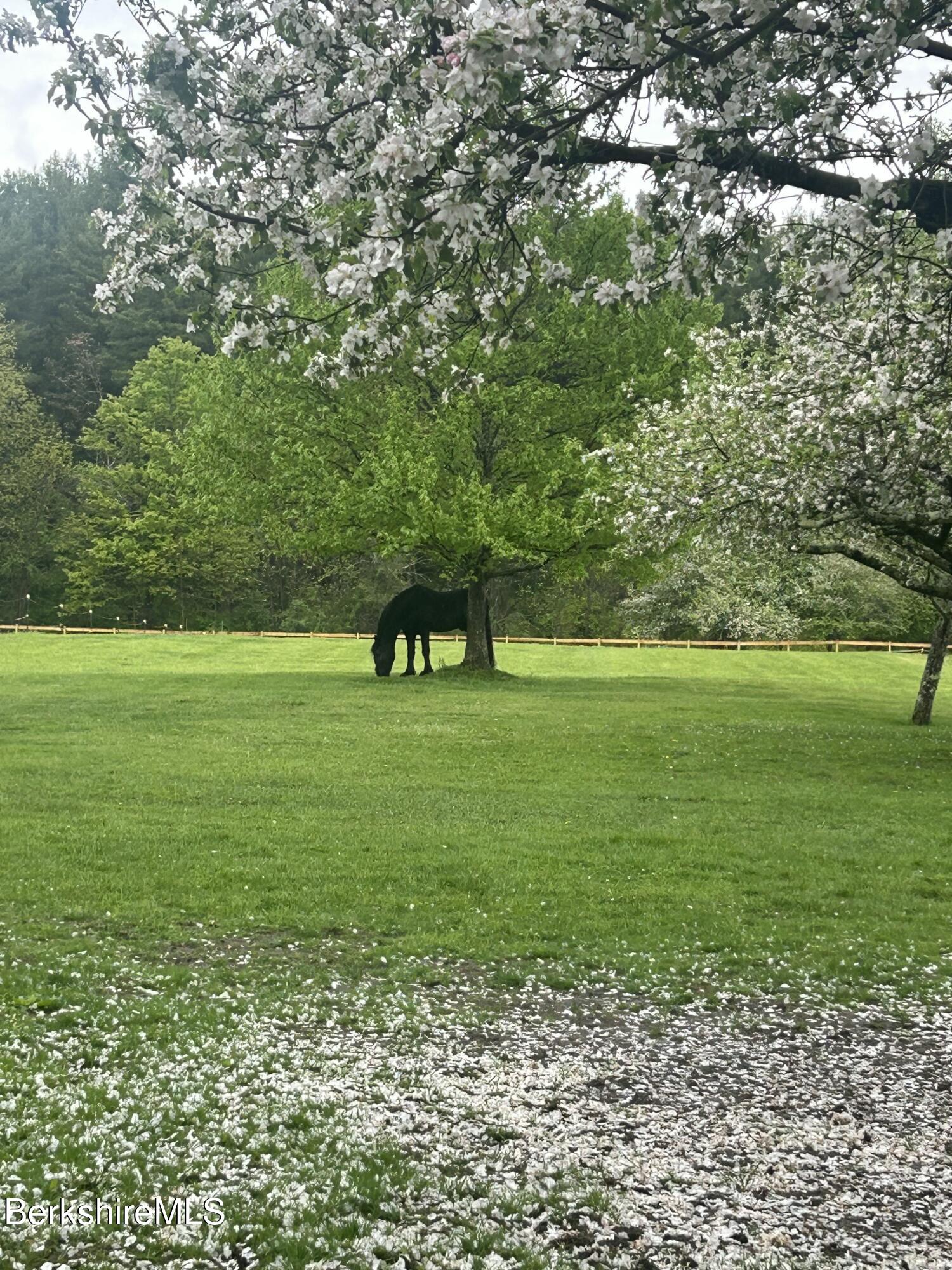 302 A Egremont Plain Road Egremont, MA 01230 - Photo 62 of 66 a view of a green field with trees