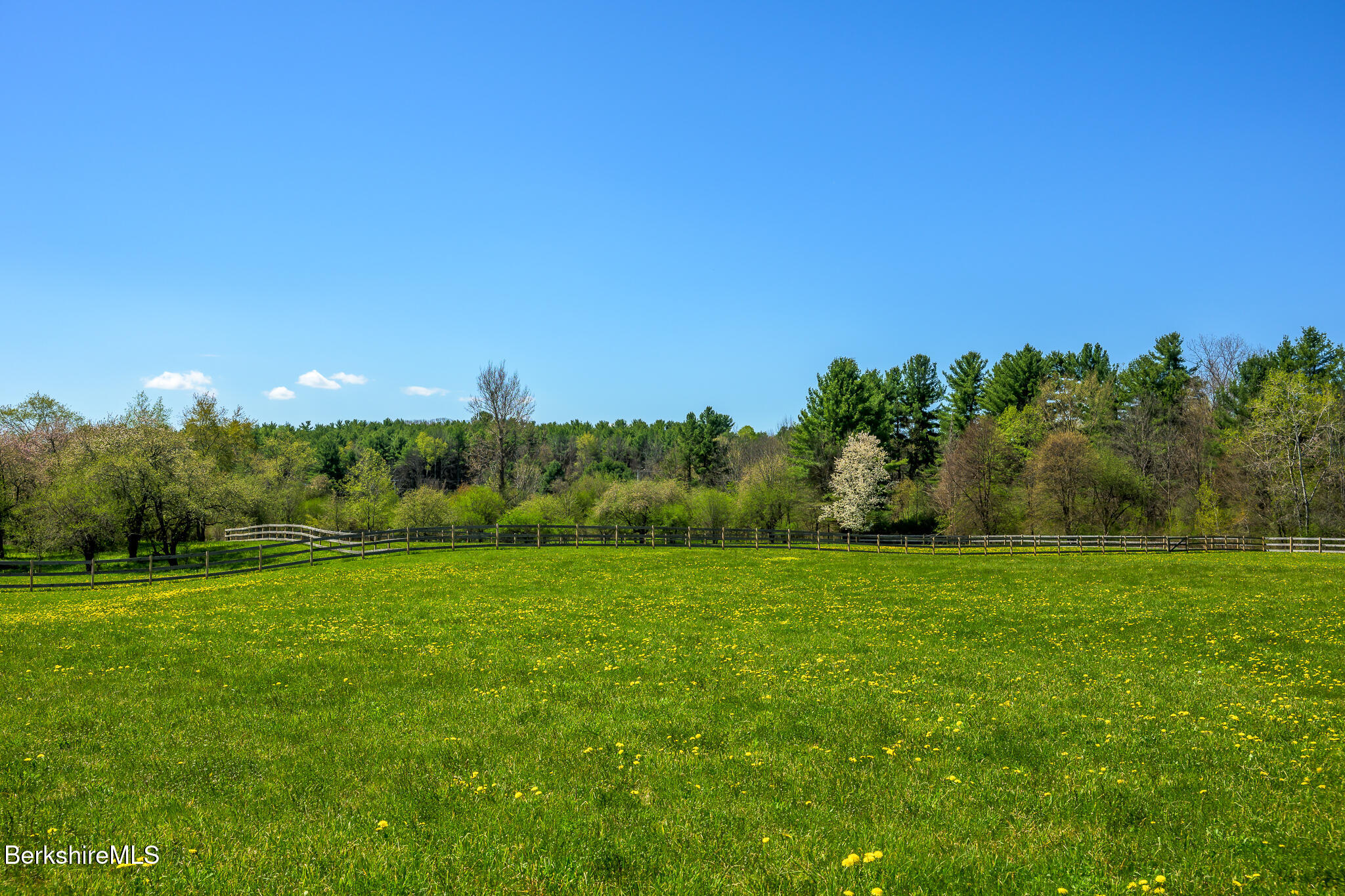 302 A Egremont Plain Road Egremont, MA 01230 - Photo 66 of 71 a view of a grassy field with trees in the background