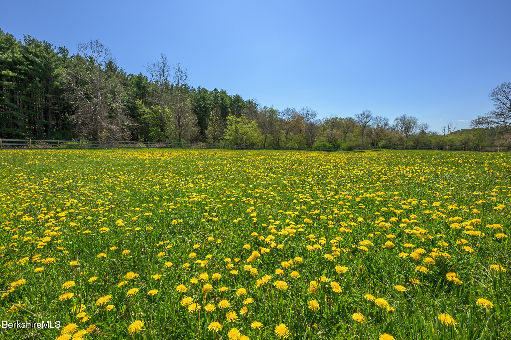302 A Egremont Plain Road Egremont, MA 01230 - Photo 67 of 71 a view of a field with an ocean