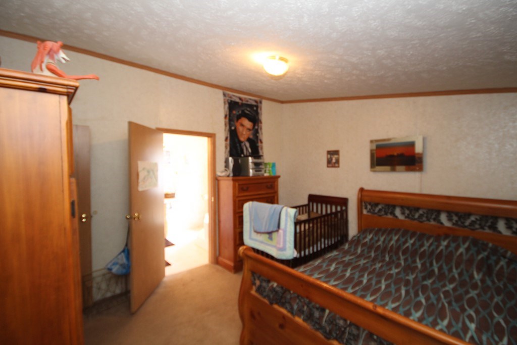 5125 East Valley Road Mount Pleasant, MI 48858 - Photo 14 of 19 1821253-13.JPG