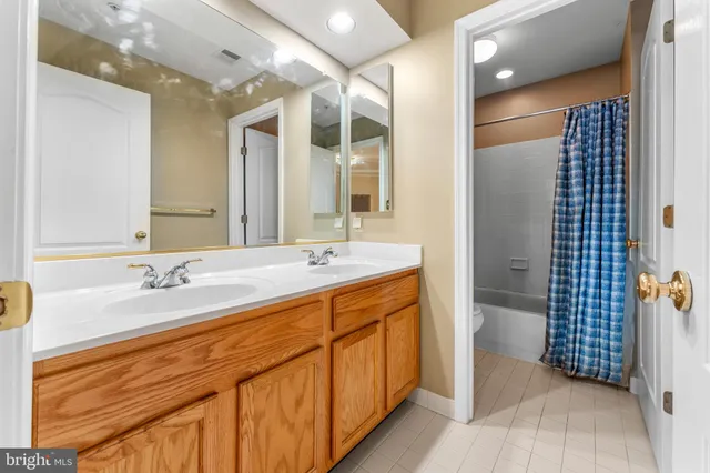 a view of a park with large trees