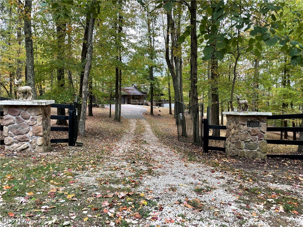 74068 Lake Ridge Road Piedmont, OH 43983 - Photo 3 of 45 View of road