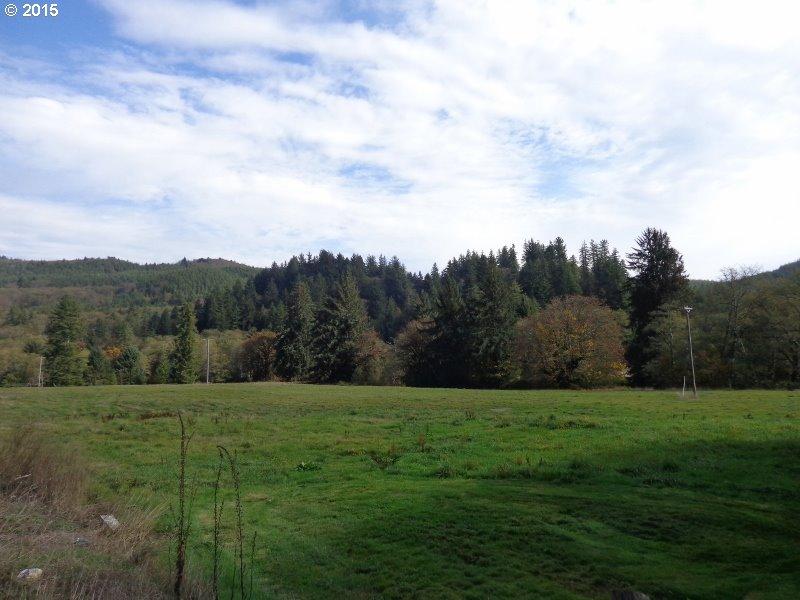 22505 Highway 101 South Beaver, OR 97112 - Photo 5 of 30 Prop