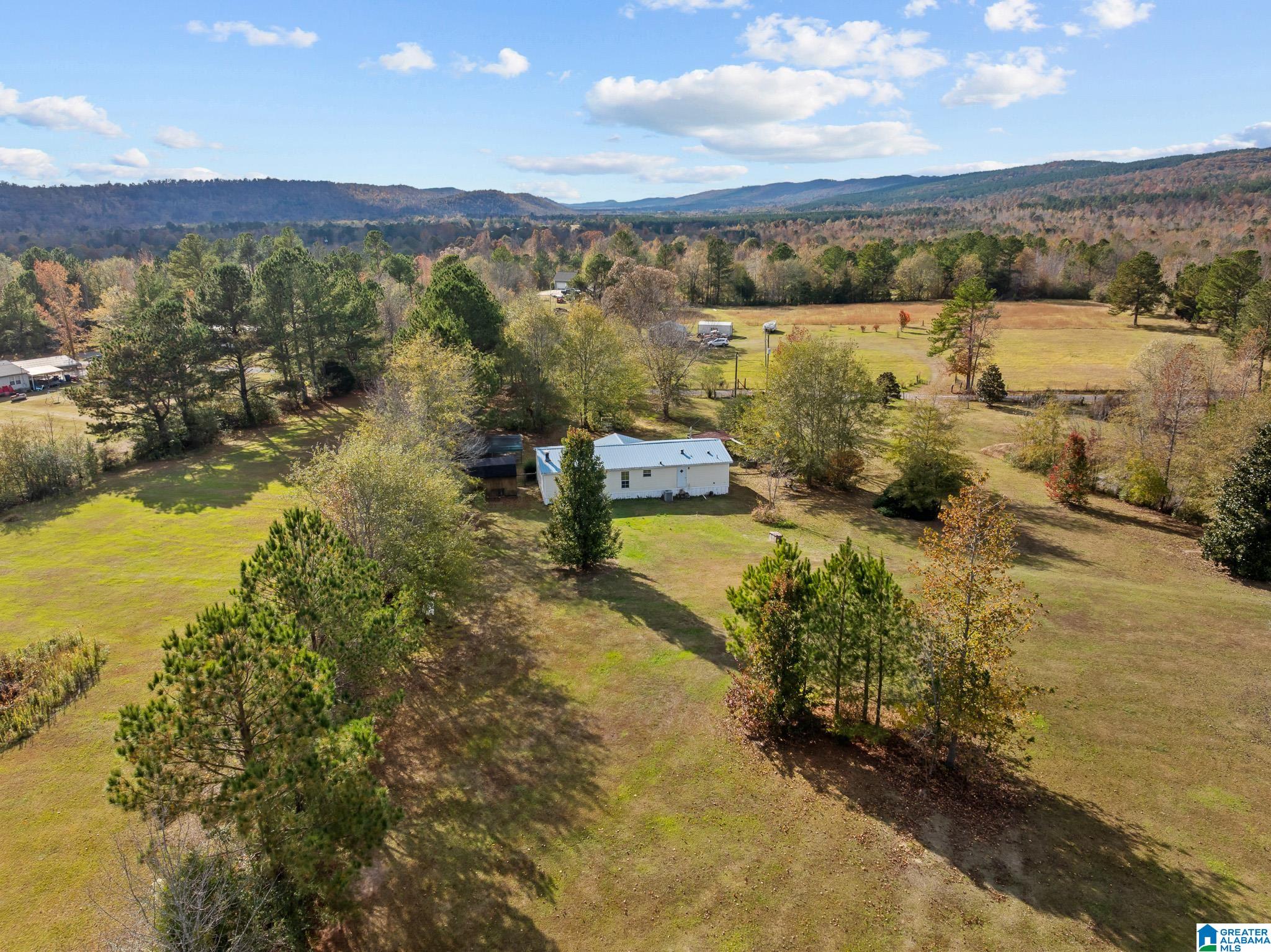 177 Armstrong Road Ashville, AL 35953 - Photo 34 of 38